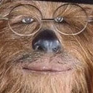 Meet your Posher, Seth